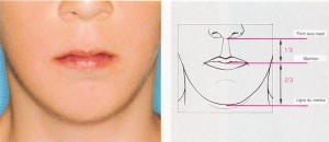 Les trois étages du visage ont la même hauteur. Au niveau de l’étage inférieur, la distance nez : la jointure des lèvres représente le 1/3 de la hauteur point sous nasal menton. Les lèvres sont jointives en position de repos.