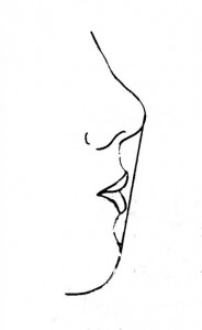 Profil cutané montrant un relief harmonieux par une succession des courbes, nez-lèvres-menton, équilibrées. Le profil idéal situe la lèvre inférieure à 2 mm en arrière de la ligne passant par la pointe du nez et le point le plus avancé du menton cutané, la lèvre supérieure est située 4mm en arrière de cette ligne E (Esthétique).